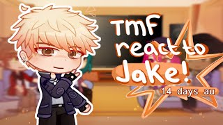 TMF react to Jake angst  14 days au [upl. by Ennalorac]