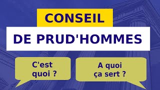 LE CONSEIL DE PRUDHOMMES rôle et composition [upl. by Noryahs]