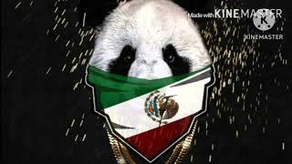 Panda Remix Extended version Spanglish  Desiiner X Eddy Lg panda [upl. by Marco]