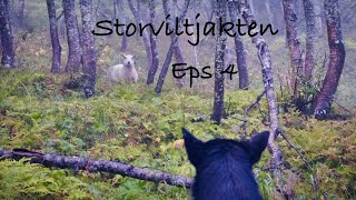 Storviltjakten episode 4 [upl. by Ielirol]