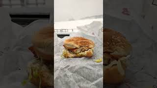 Arbys Fish sandwich review 2 review fishsandwich delicious arbys michigan whatsfordinneryall [upl. by Cotsen]