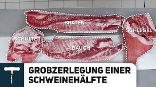 Schwein in Teile zerlegen  Grobzerlegung  Metzger Dirk Freyberger Teil 1 [upl. by Jordanson198]