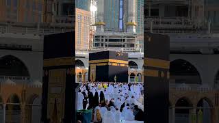 Makkah video 🕋 umrah 2024  azan  live live livestream trending slowed minivlog islam fyp [upl. by Wilsey]