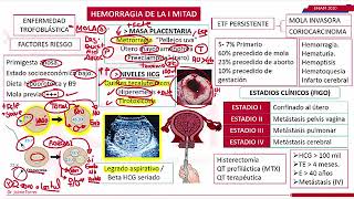 Causas de Hemorragia en el Embarazo [upl. by Eartnoed]