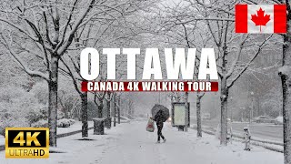 Ottawa Canada Winter Dec 2024 First Snow 4K Walking tour [upl. by Sucramrej673]