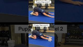 Puppy Dog Stretch [upl. by Kevan]