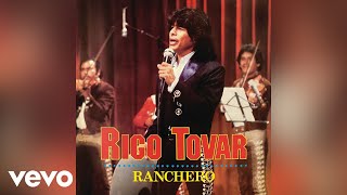 Rigo Tovar  Una Palomita Versión Mariachi Audio [upl. by Aliab]