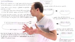 SiteDirected Mutagenesis [upl. by Inafets]