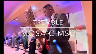 Tremble  Mosaic MSC  Electric Guitar Cover  InEar Mix  lavonhodges1984 [upl. by Angelle]