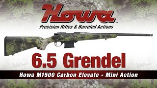 6 5 Grendel in a Howa Carbon Elevate [upl. by Susana714]