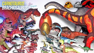 NEW Carnotaurus VS Brachiosaurus Jurassic World Dinosaurs Collection Battle [upl. by Airres]