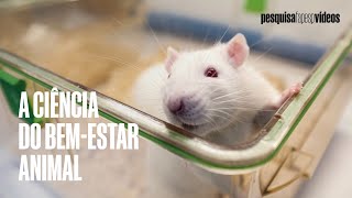 Testes em animais o que mudou ciencia science mice laboratory [upl. by Elag]