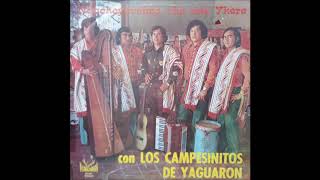 Los Campesinitos de Yaguaron  quotNdacheyaveima Che Nde Ykere conquot Pajaro Campana [upl. by Yleme]