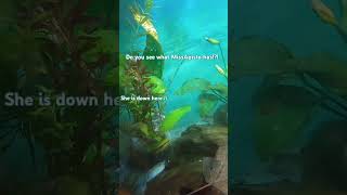 The Apistos got it done FAST fishtales fishtank funny fishfam fishbreeding shorts subscribe [upl. by Hsemar]