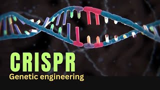 What is the role of CRISPR in Genetic engineering [upl. by Yrad]