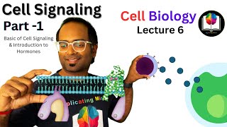 Cell Signaling and Hormone Introduction  Part 1  CSIR NET  DBT  GATE  ICMR NET [upl. by Kath]