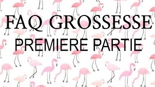 18  FAQ Ma GROSSESSE Première partie  Moi ma vie mes projets et le bébé [upl. by Lorelle]