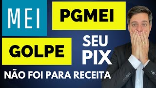 MEI  Paguei com PIX e não deu baixa  Você caiu no golpe [upl. by Sacrod625]