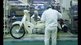 Watch The New Honda Super Cub 125 Being Produced [upl. by Dolf]