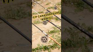 quotFiyatPerformans Canavarı 3 LRF Kamışıquot fishing carpfishing lrf youtubeshortsfishingtips [upl. by Aelrac]