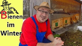 Der Imker bei den Bienen im Winter  das große Bienensterben oder alles OK [upl. by Amaras]