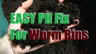 Troubleshooting PH Problems in Worm Bins [upl. by Aikat]