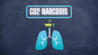 What is CO2 Narcosis Hypercapnia Causes and Pathophysiology [upl. by Anaidirib741]