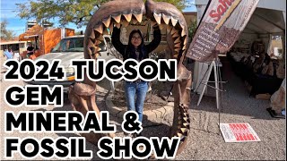 INSANE FOSSILS at the 2024 Tucson Gem Mineral and Fossil Show [upl. by Macur]