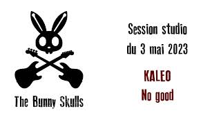 Bunny Skulls  Reprise Kaleo  No good [upl. by Birch]