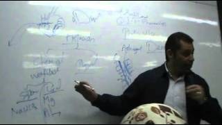 DrAhmed Abd ElRahman  GIT 2  Peptic Ulcer part 1 [upl. by Kunin]