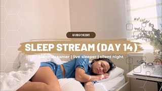 SLEEP STREAM DAY 14 [upl. by Ogren254]