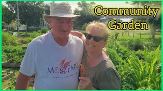 Community Garden in Yarmouth Nova Scotia [upl. by Enywtna961]