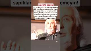 MÜJDAT GEZEN SİZ HİÇ KUZU İLE ÇFTLŞMYE KALKAN KOÇ GÖRDÜNÜZMÜ BUZAĞA MUSALLAT OLAN BİR BOĞA [upl. by Ninon97]