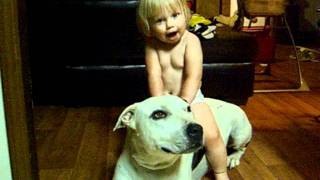 Baby rides DOG [upl. by Felder]