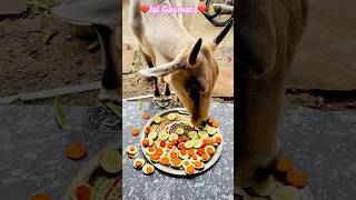 Jai Gaumata  Jai Shree Radhe  Gau seva kare aur anand ki anubhuti kare cow gaumata [upl. by Agbogla]