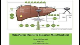 Biodegradation and Biodegradibility Environmental education and disaster management [upl. by Anirtek194]