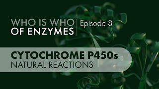 Who Is Who of Enzymes Cytochrome P450 Monooxygenases Natural Reactions [upl. by Asiral]