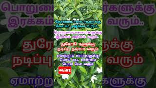 motivation varisu music song tamil lifequotes lifeline quotes quote [upl. by Leihcey528]