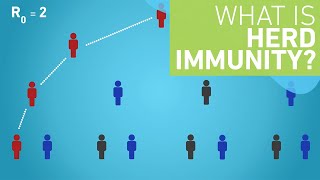 What is Herd Immunity [upl. by Avihs733]