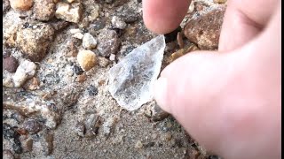 Treasure Hunting and History Recovery  Crystal Clear [upl. by Muns]