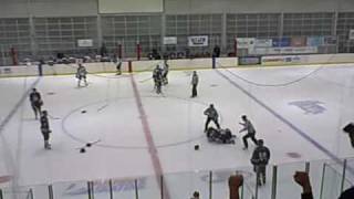 Evansville IceMen Goal Jed Johnson amp Fight Ryan Ford 112809 vs Hitmen [upl. by Akamaozu405]