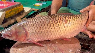 Giant Gold Mrigel Carp Fish Cutting Skills  Amazing Carp Fish Cutting Skills [upl. by Perrin]