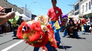 2017 DBQA 大悲觀音龍獅隊 Richmond festival lion dance futhok Melbourne Australia [upl. by Ydnyl]