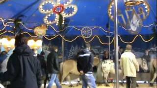 kerstmarkt oldenburg 2011 [upl. by Jemy233]