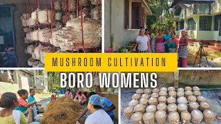 Oyster Mushroom ki kheti  Mushroom Cultivation 🍄 Mwikhun ni Aabad [upl. by Dimond716]