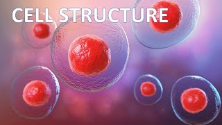 Cell structure  AS Bio  quiz 2 [upl. by Enelrahc]