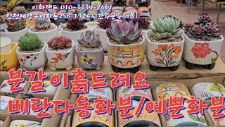 대박가격꽃화분사각베트남산분갈이흙드려요 이화랜드01033392461 나는농부다282회출연 [upl. by Eciral]