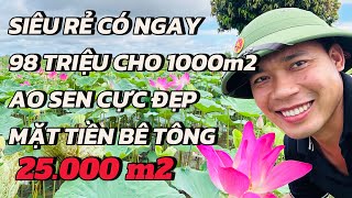 ĐÃ BÁN  TRỜI TIN NỖI KHÔNG  CHƯA ĐẾN 100 TRIỆU MÀ CÓ NGAY 1000m2 ĐẤT RUỘNG SEN VEW ĐỈNH CAO [upl. by Doxia512]