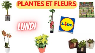 💥 ARRIVAGE LIDL💥 PLANTES ET FLEURS  6 mars 2023  9 OFFRES  PUB FRANCE [upl. by Rovit65]