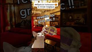 Le miroir magique meme chatdrole humour drole catmemes halloween [upl. by Naujuj]